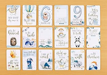 Our Baby Boy's Milestones
