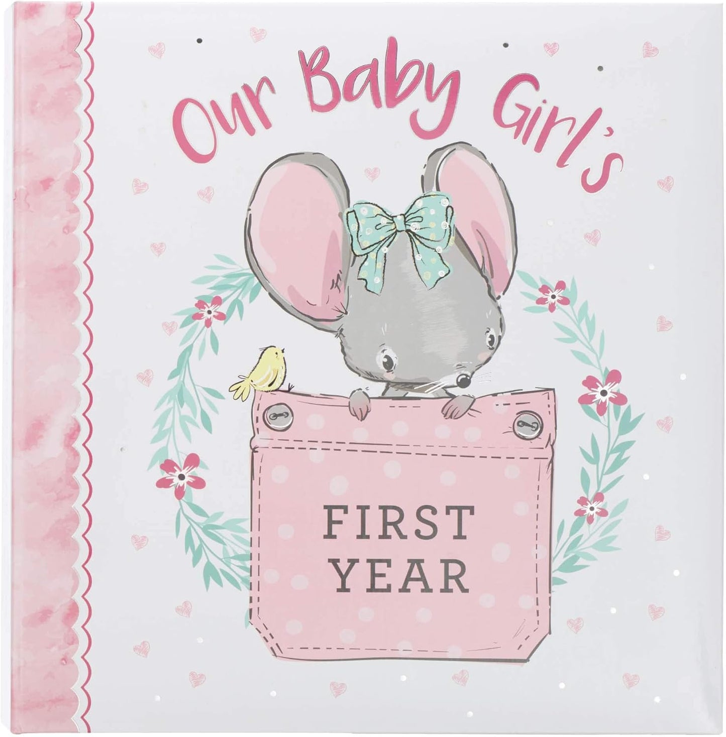 Our Baby Girls First Year