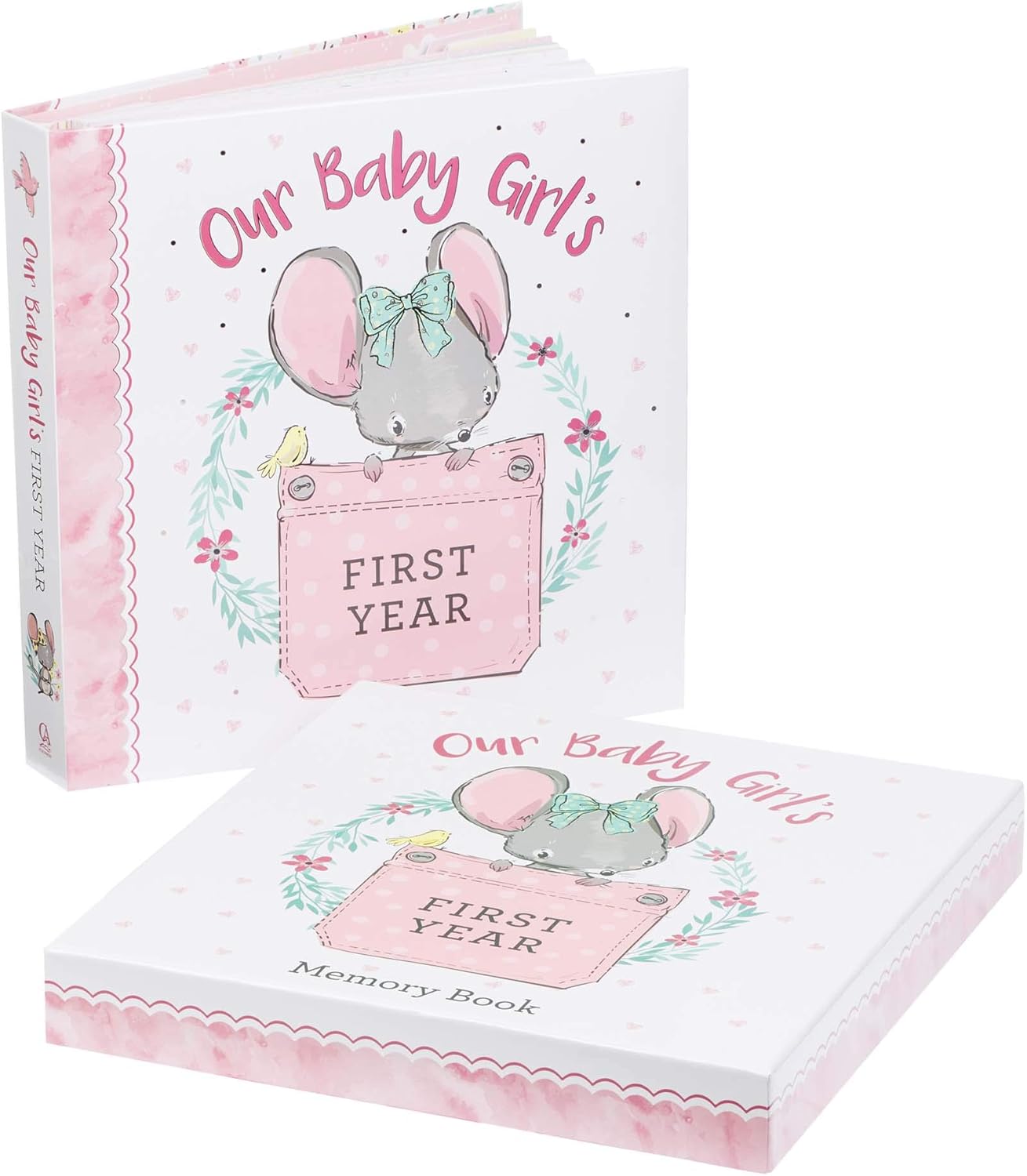 Our Baby Girls First Year