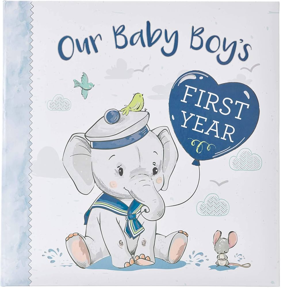 Our Baby Boy's First Year