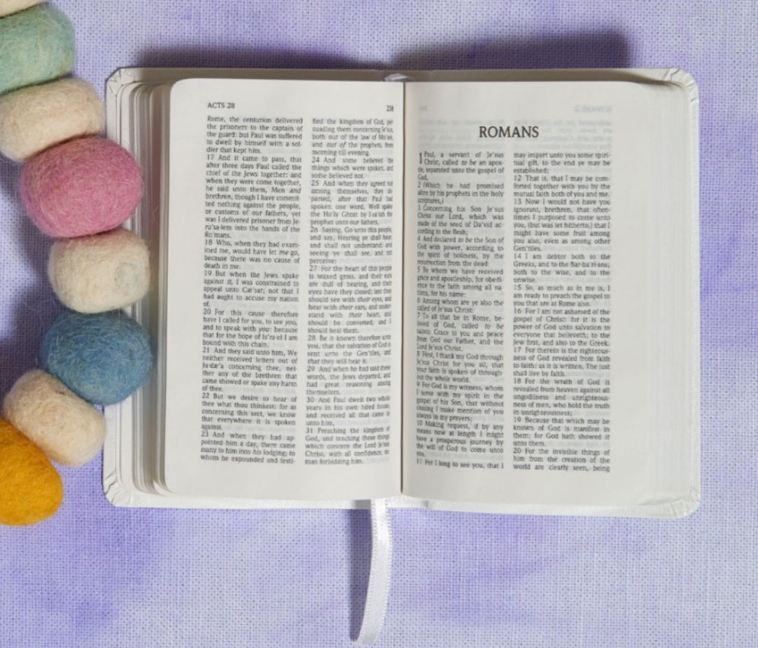 Baby New Testament Bible