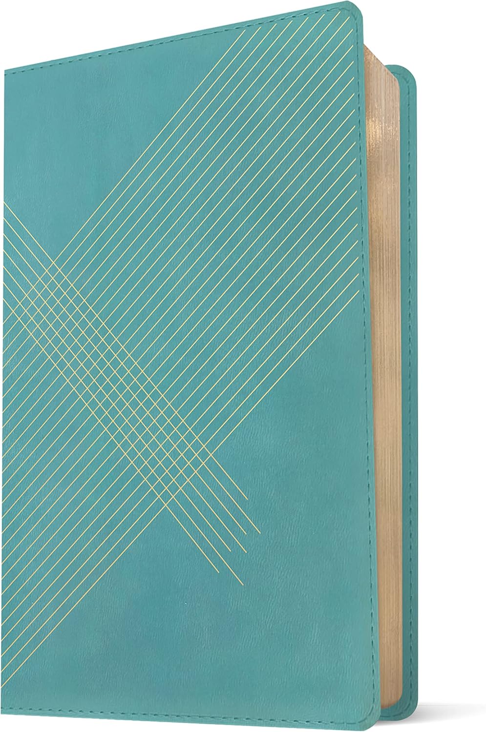 NLT Student Life Application Study Bible